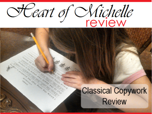 Heart of Michelle Review